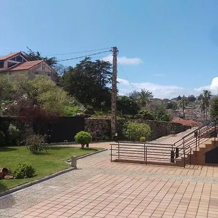 M.porto