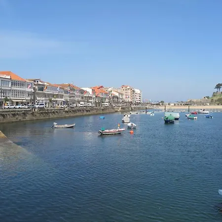 M.porto